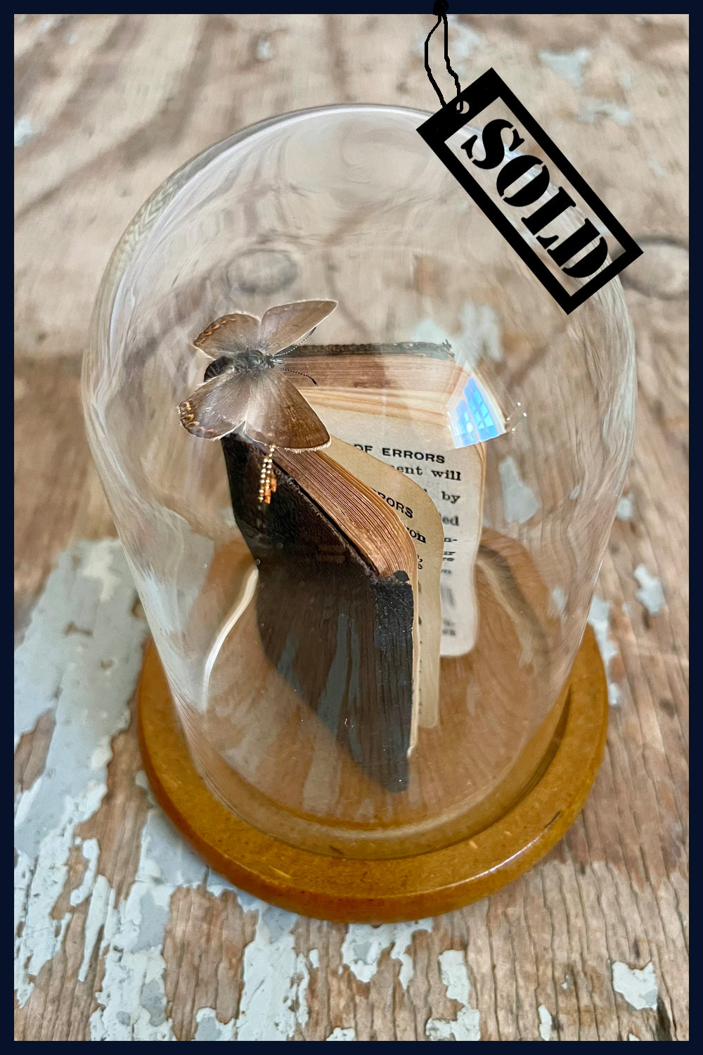 SOLD Enigma Variations Collection: Miniature Antique 'Comedy of Errors' with a Specimen Butterfly in a Glass Display Dome