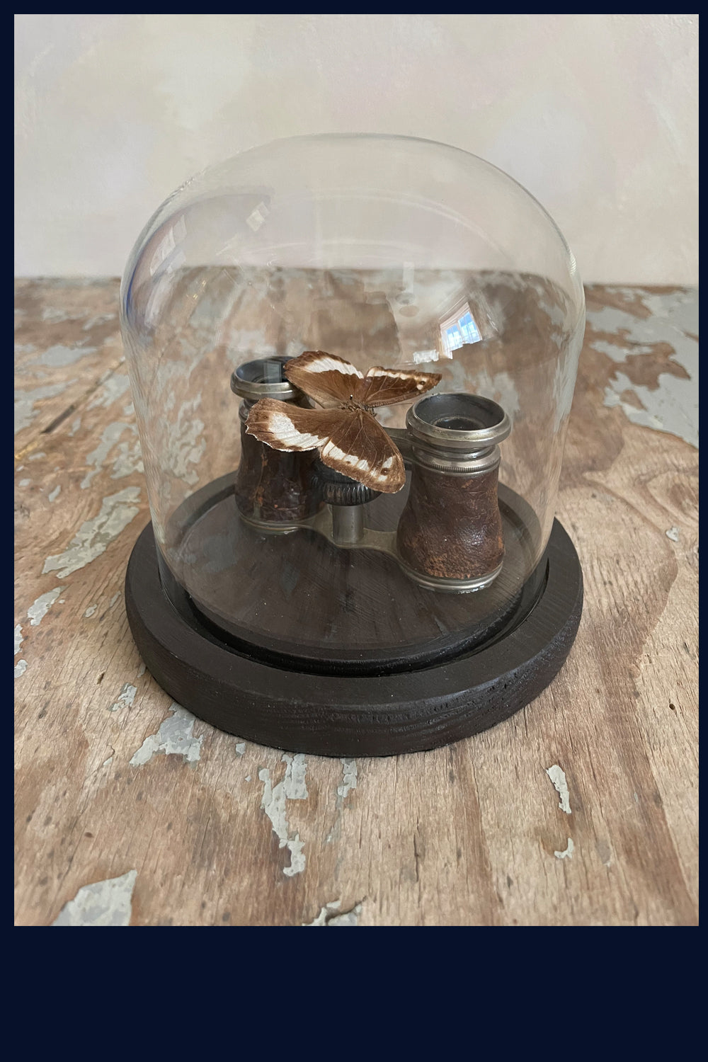 SOLD Enigma Variations Collection: Antique Opera Glasses with a Vintage Butterfly under a Glass Display Dome