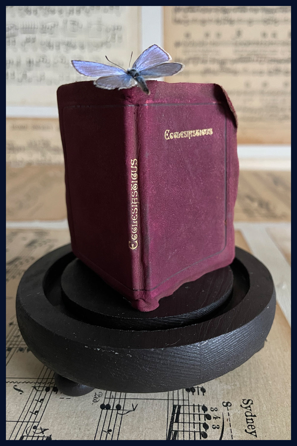 SOLD - Enigma Variations Collection: Miniature Antique Leather Ecclesiastical Book and a Vintage Butterflies in a Glass Display Dome