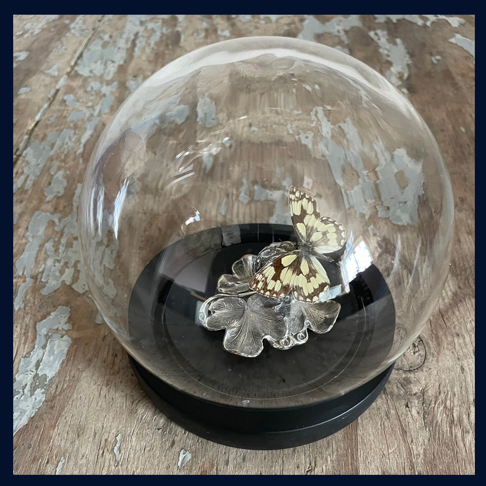 Enigma Variations Collection: Antique Silver-Plated Teapot Berry Finial with a Vintage Butterfly under a Glass Display Dome