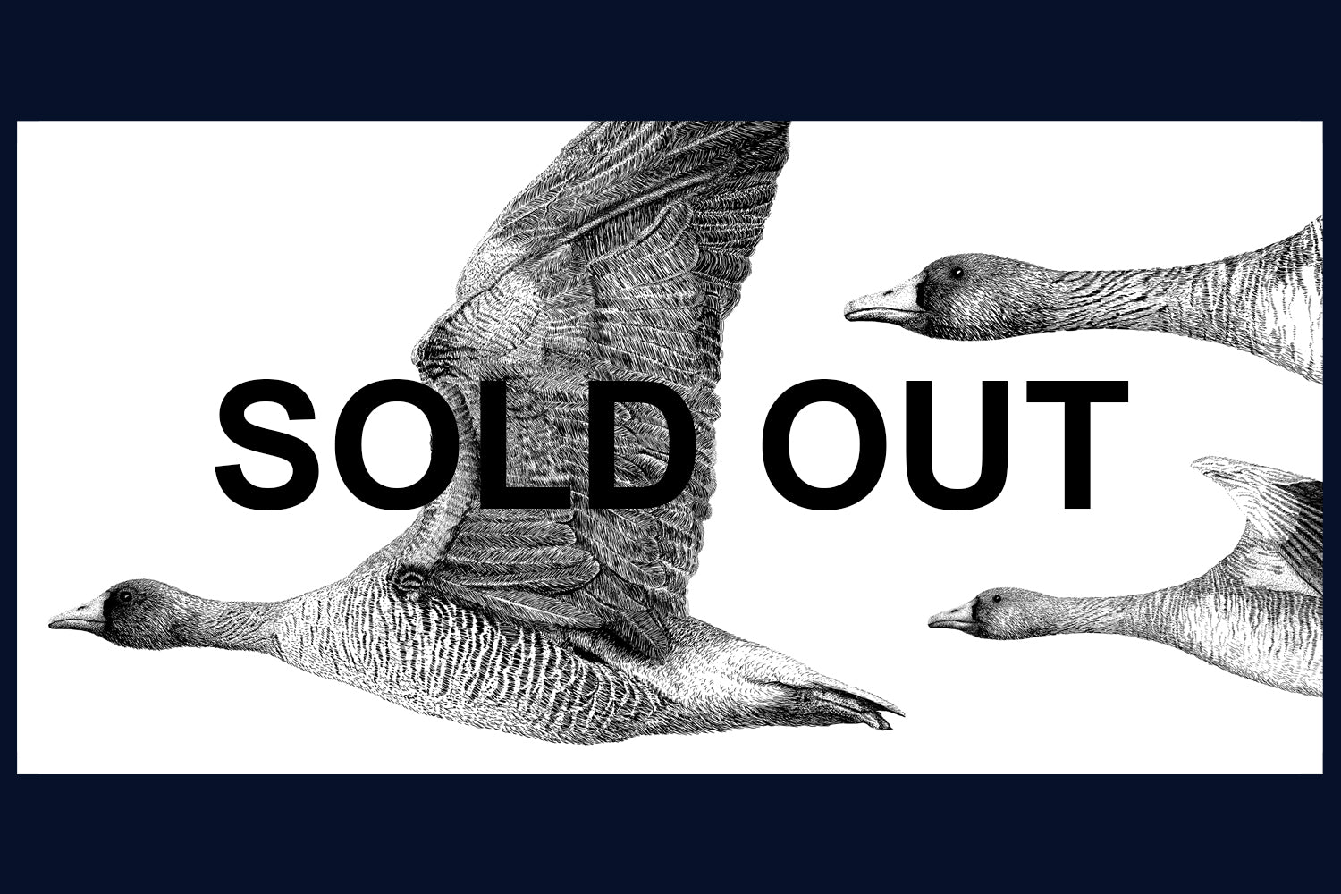 SOLD OUT Sky Dance, Norfolk Limited Edition of 50 Fine Art Print