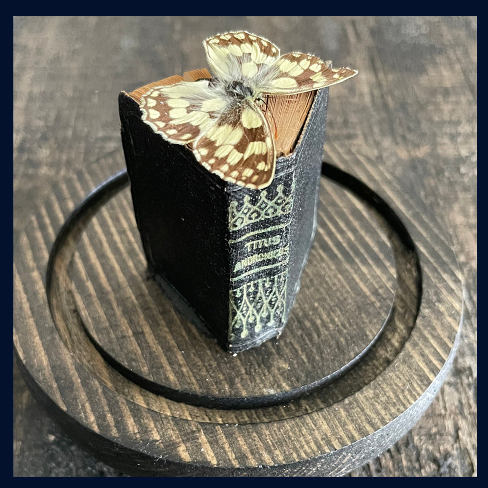 SOLD Enigma Variations Collection: Miniature Antique Shakespeare's 'Titus Andronicus' Book with a Specimen Butterfly in a Glass Display Dome