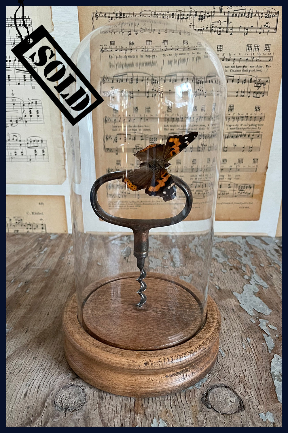 SOLD Enigma Variations Collection: Antique Bronze Corkscrew with a Vintage Red Admiral Butterfly in a Glass Display Dome