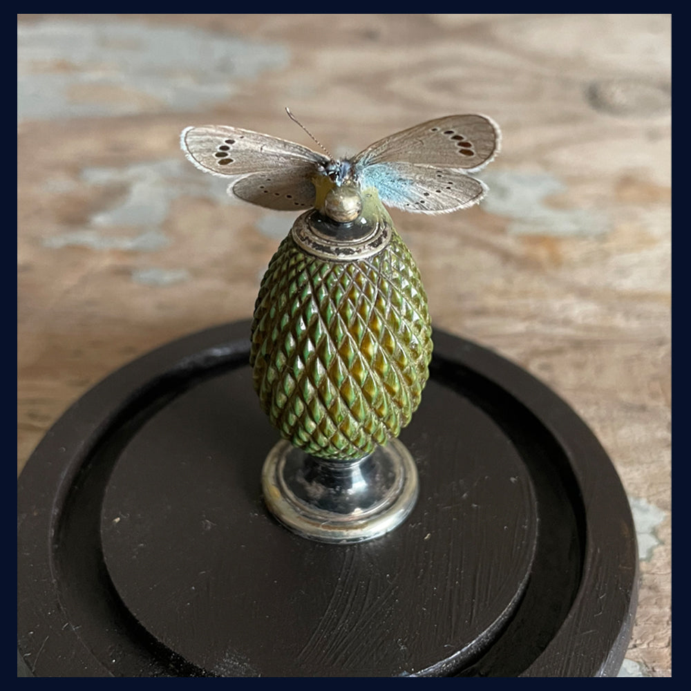 SOLD - Enigma Variations Collection: Antique Samovar Finial with a Butterfly in a Display Dome
