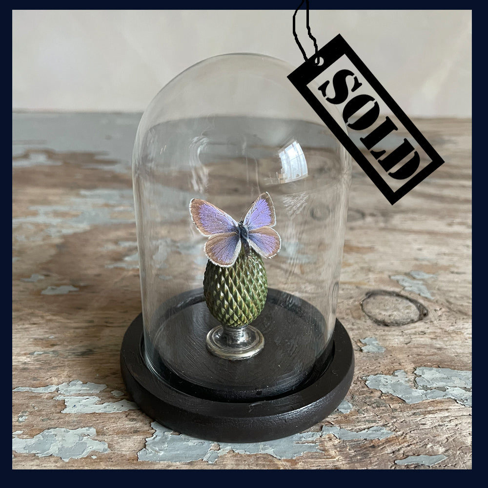 SOLD - Enigma Variations Collection: Antique Samovar Finial with a Butterfly in a Display Dome