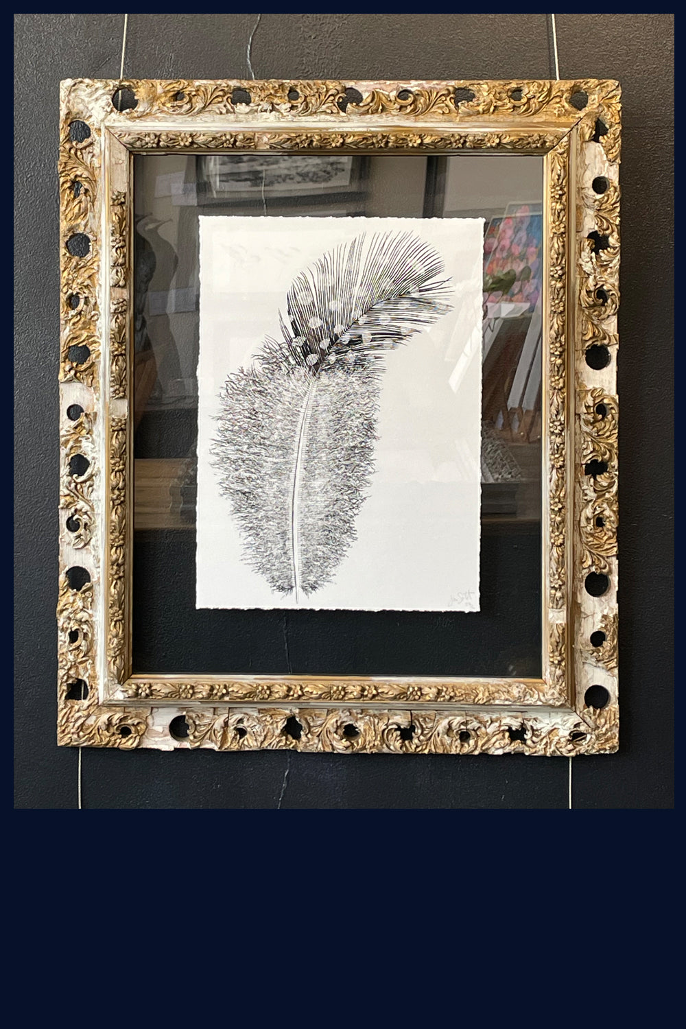 Floated & Framed in Antique Gilt Frame - Aviary Collection: Lost Plume, Norfolk Limited Edition Fine Art Print