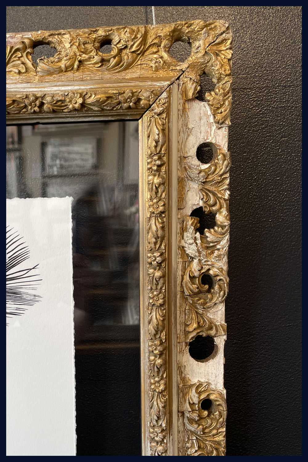 Floated & Framed in Antique Gilt Frame - Aviary Collection: Lost Plume, Norfolk Limited Edition Fine Art Print