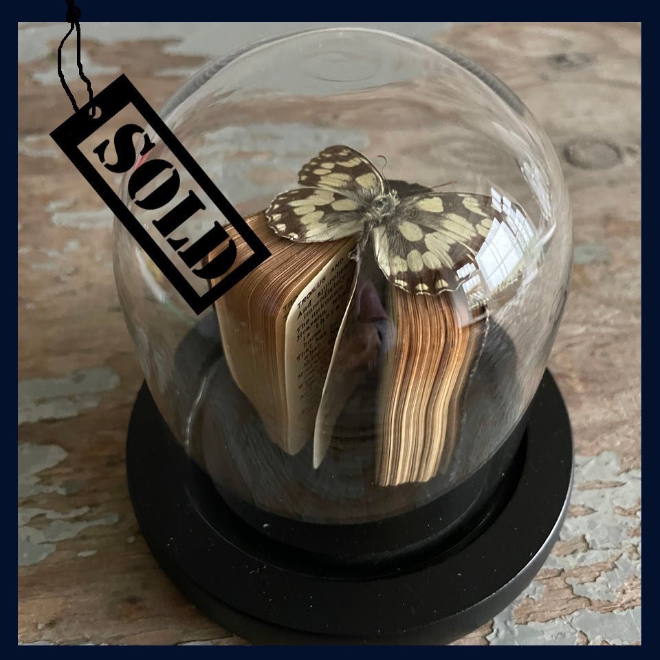 SOLD - Enigma Variations Collection: Miniature Antique Shakespeare's 'Troilus & Cressida' Book with a Vintage Specimen Butterfly in a Glass Display Dome