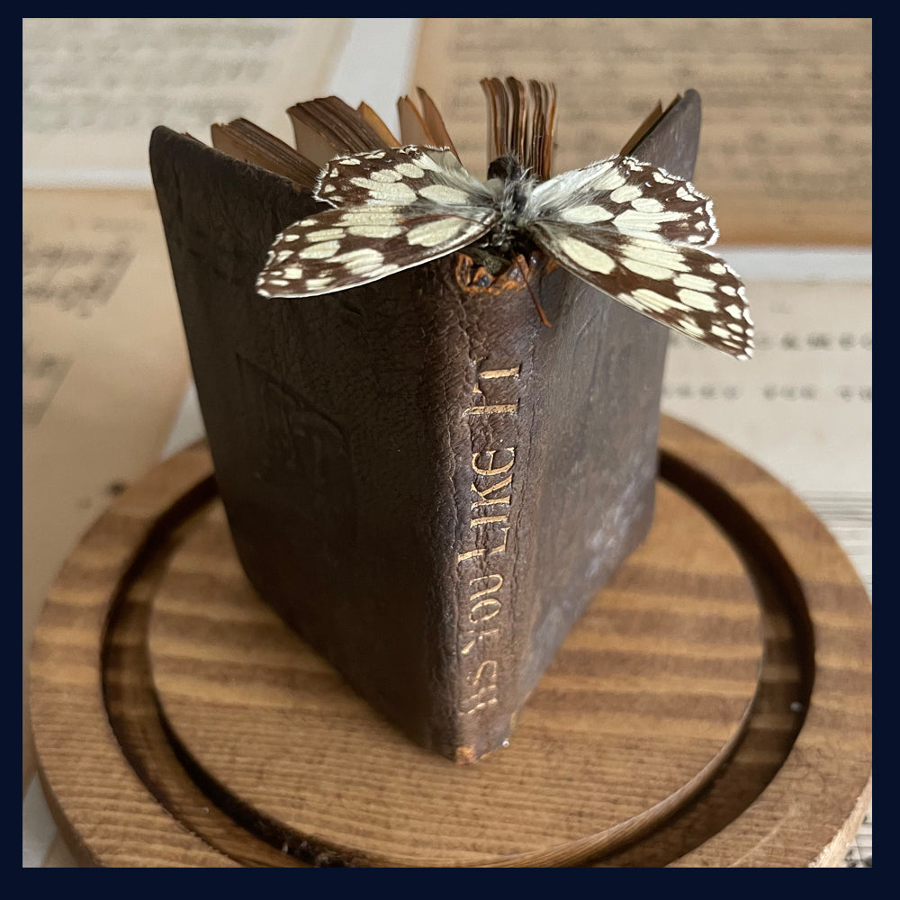SOLD Enigma Variations Collection: Miniature Antique 'As You Like It' with a Specimen Butterfly in a Glass Display Dome