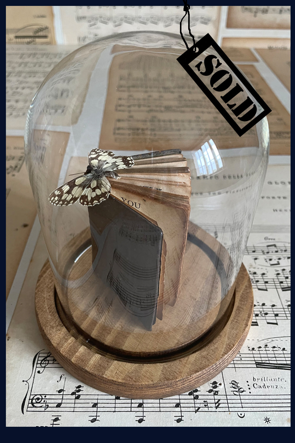 SOLD Enigma Variations Collection: Miniature Antique 'As You Like It' with a Specimen Butterfly in a Glass Display Dome