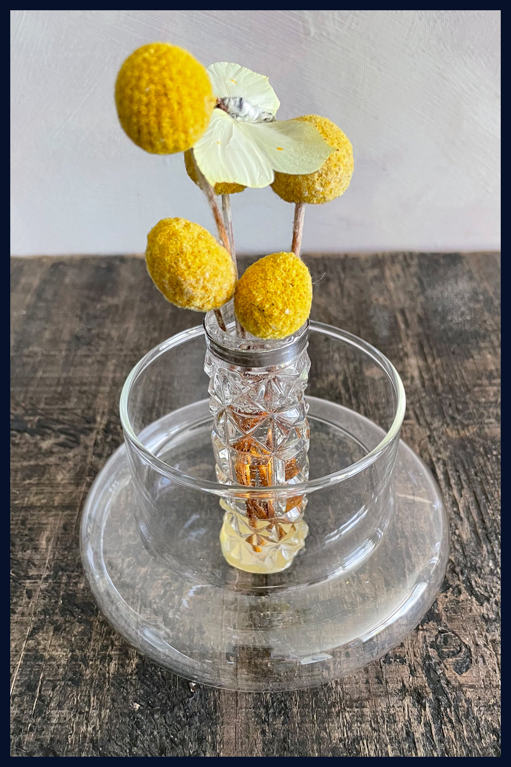 Enigma Variations Collection: Antique Crystal Vase with a Vintage Butterfly in a Glass Display Dome