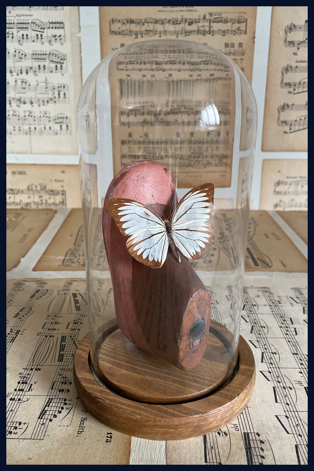 Enigma Variations Collection: Vintage Wooden Shoe Last with Old Butterfly in a Glass Display Dome