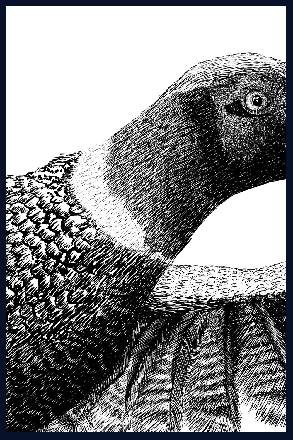 Startled. Pheasants, Norfolk. Pen and Ink artwork by Jac Scott