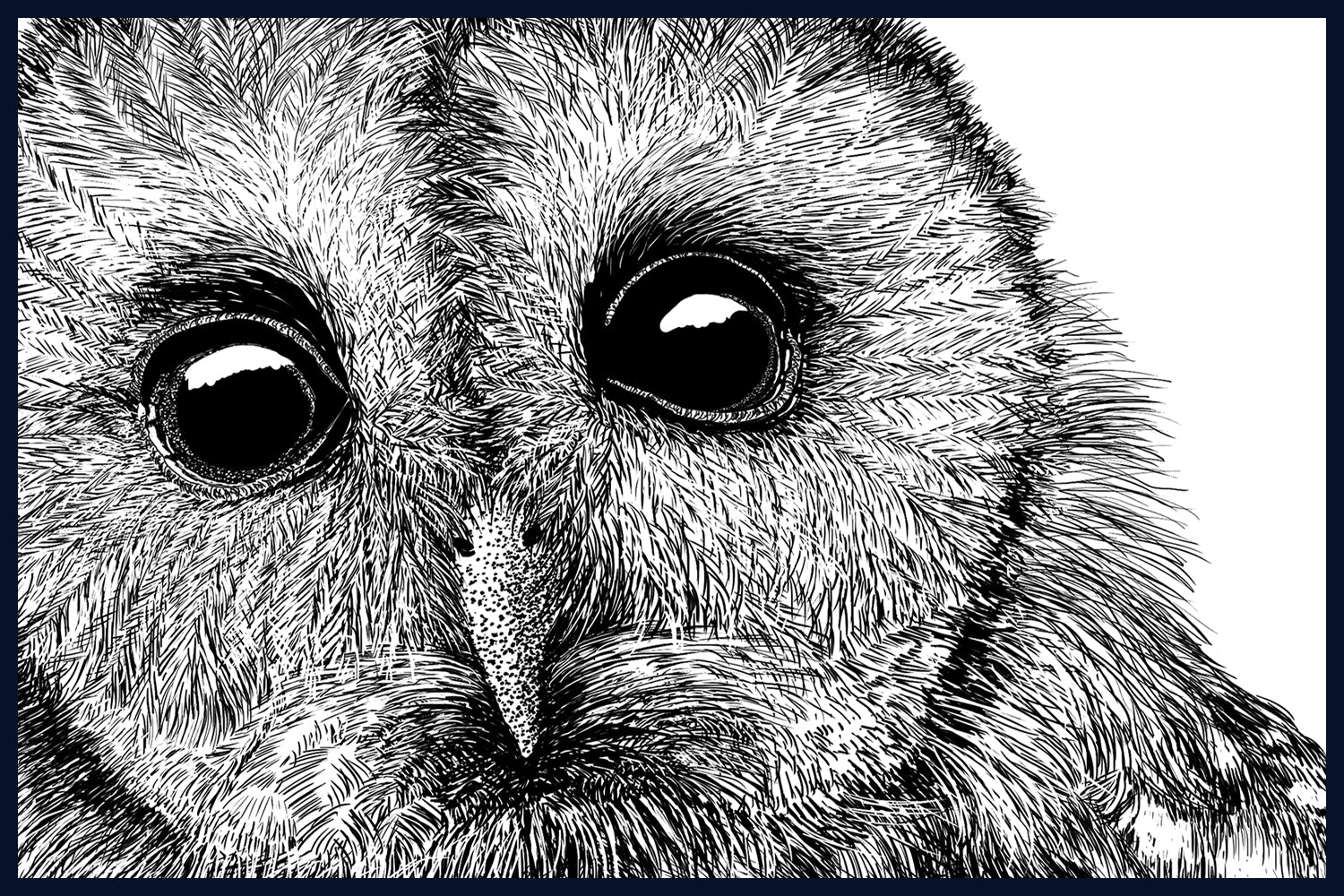 Floated & Framed Aviary Collection: The Bough. Limited Edition Fine Art Print