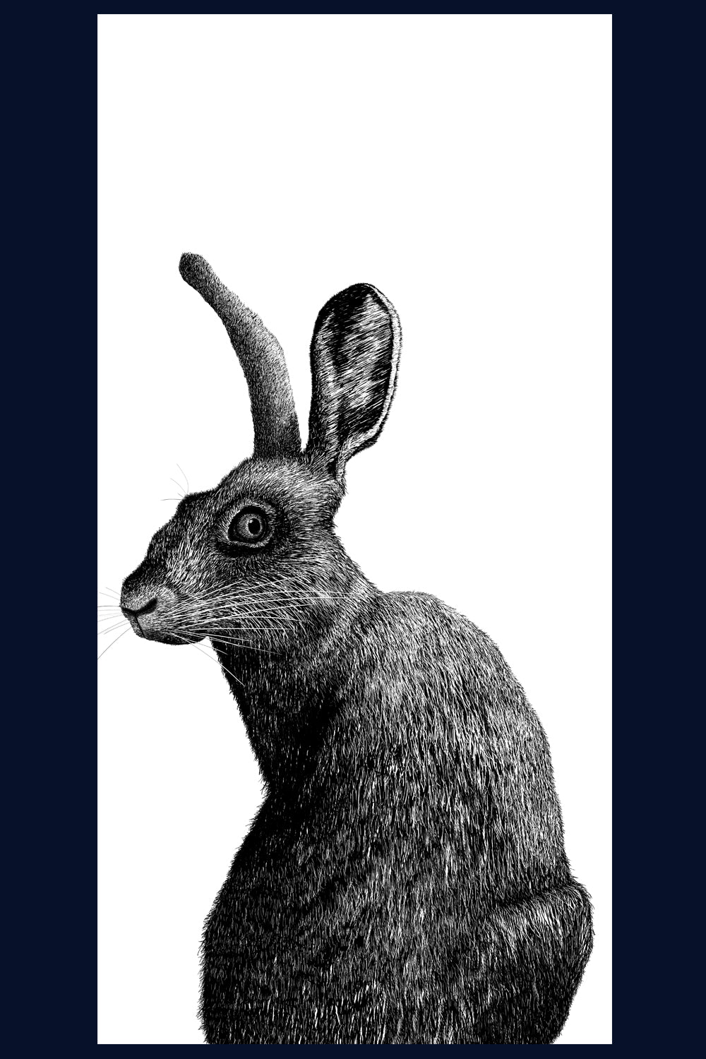 Hare, Norfolk. Pen and Ink artwork by Jac Scott