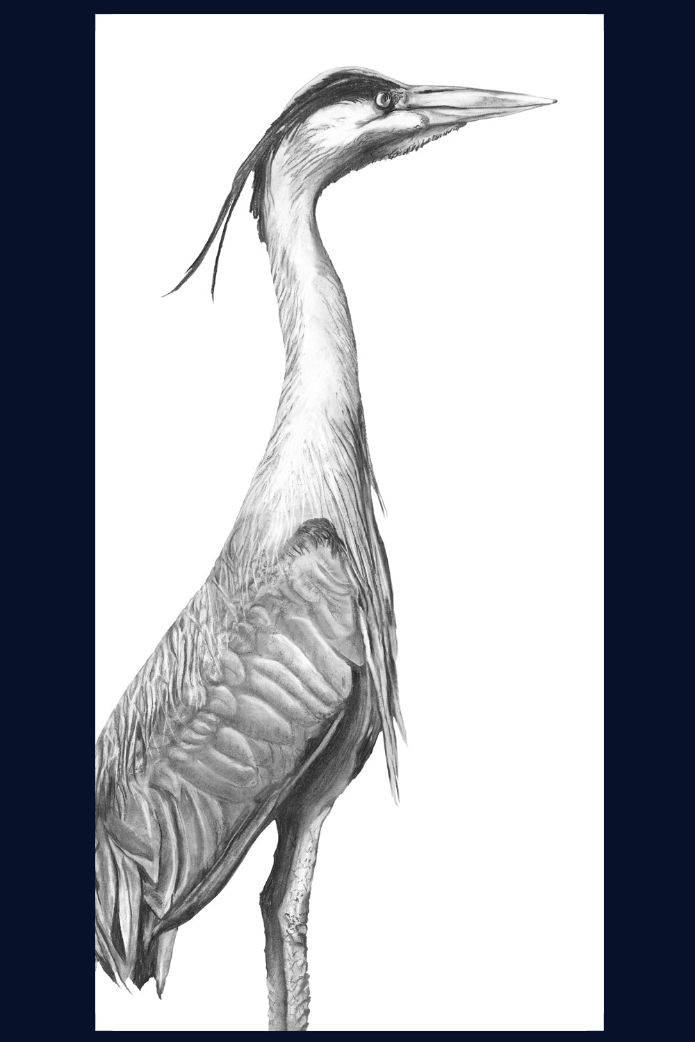 Framed Heron Limited Edition of 75 Fine Art Print
