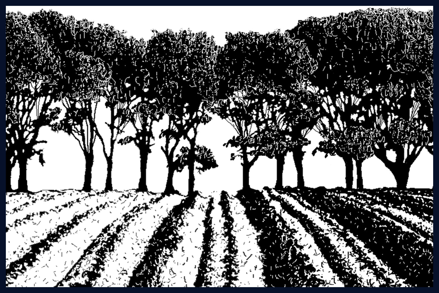 Holm Parade, Norfolk. Pen and Ink artwork by Jac Scott