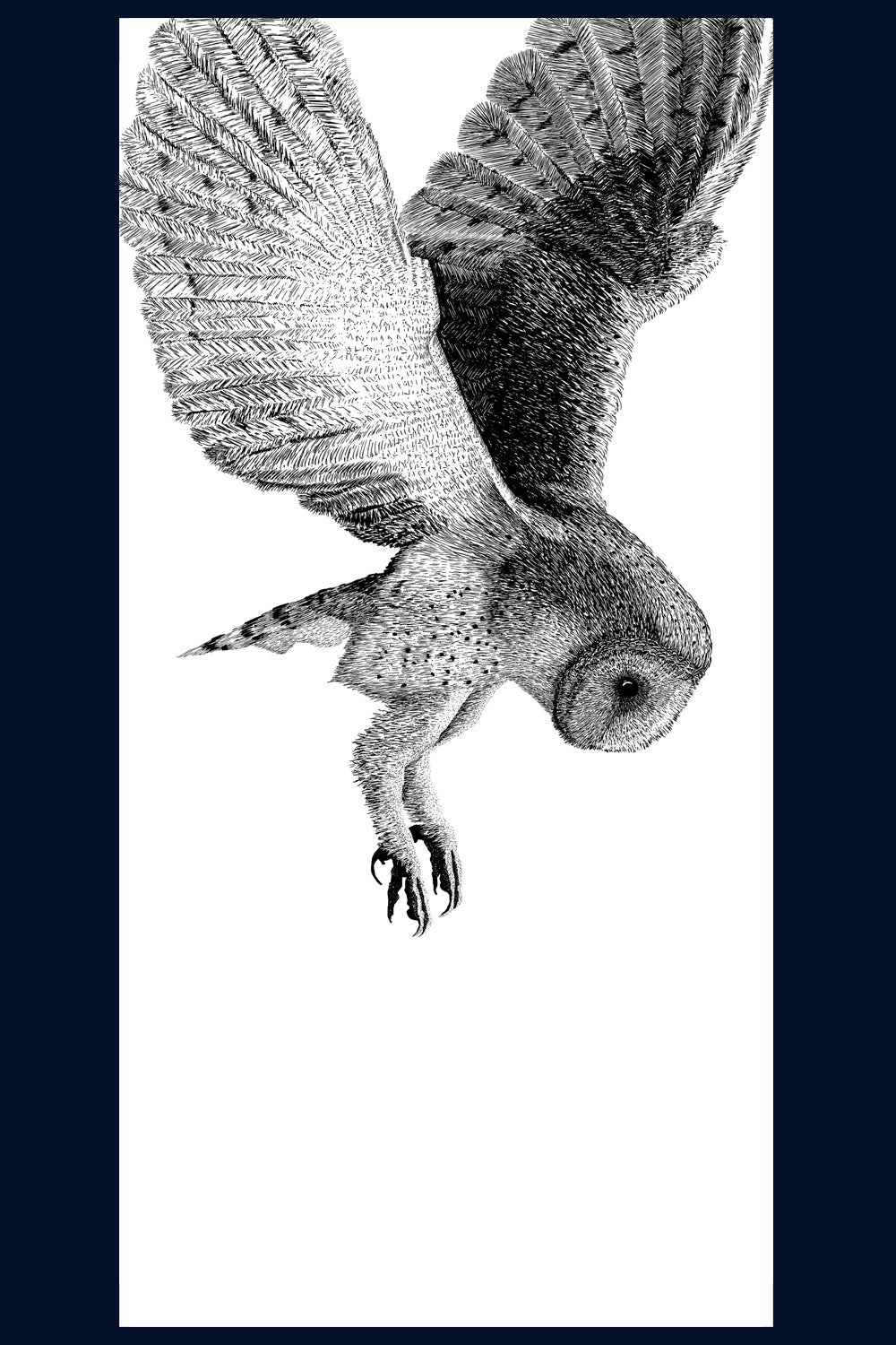 I Spy, Owl, Norfolk. Pen and Ink artwork by Jac Scott