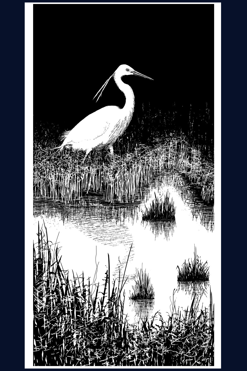 Little Egret, Norfolk. Pen and Ink artwork by Jac Scott