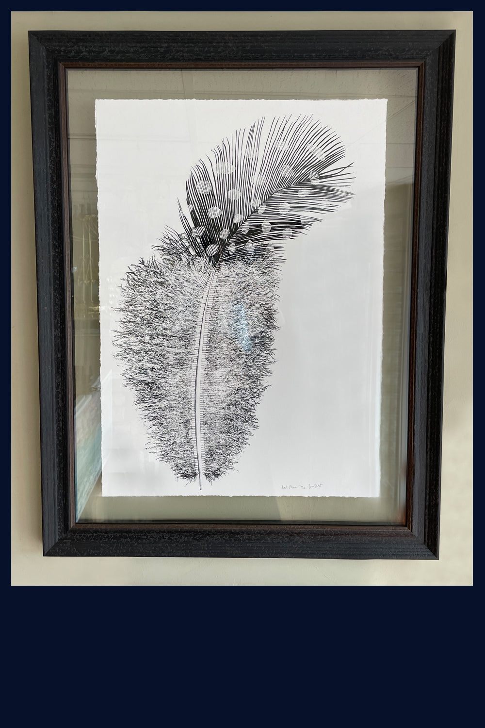 Lost Plume, feather, Norfolk. Pen and Ink artwork by Jac Scott