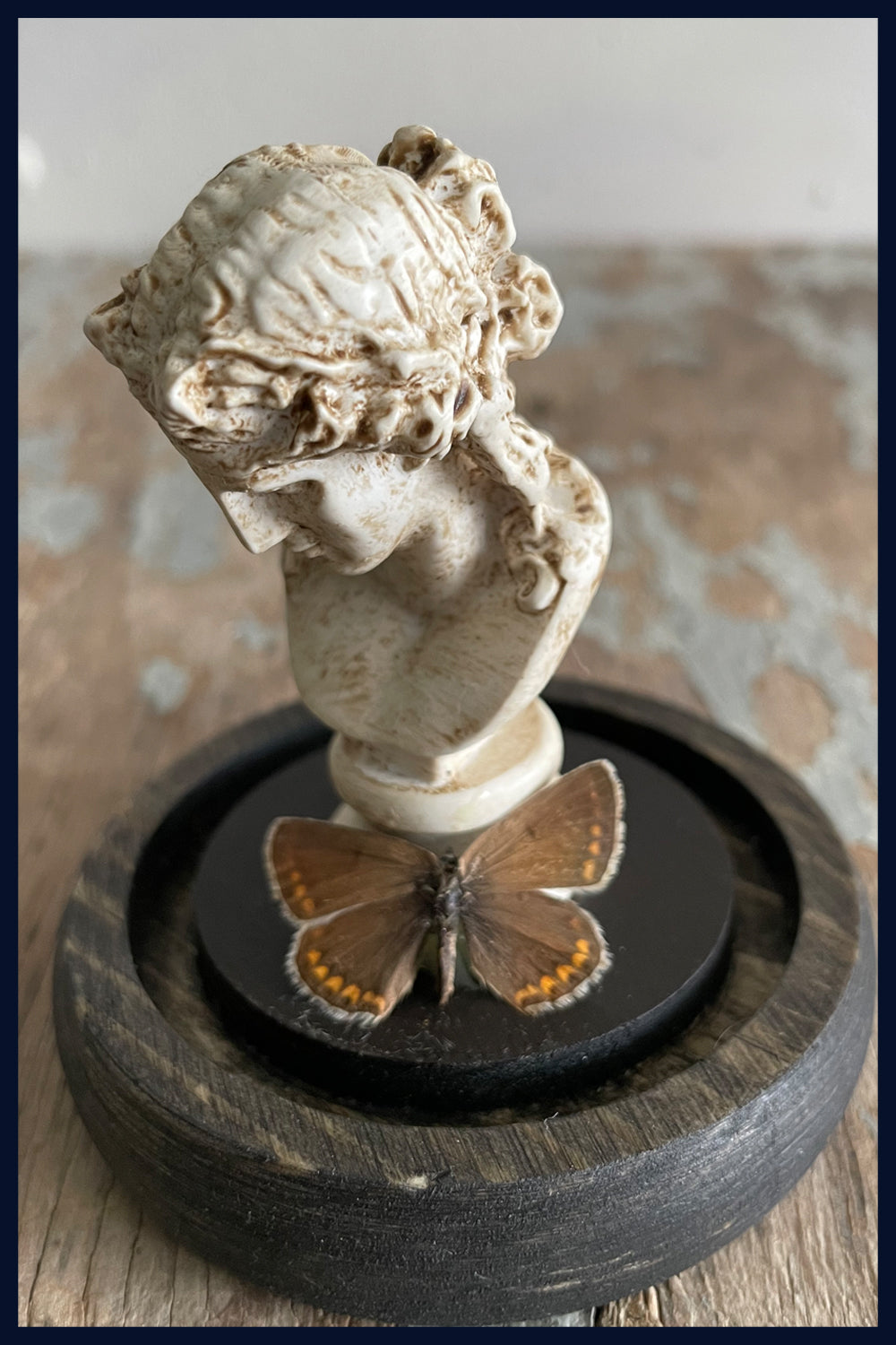 Enigma Variations Collection: Ancient Rome Miniature Classical Statue with a Vintage Butterfly in a Glass Display Dome (4)