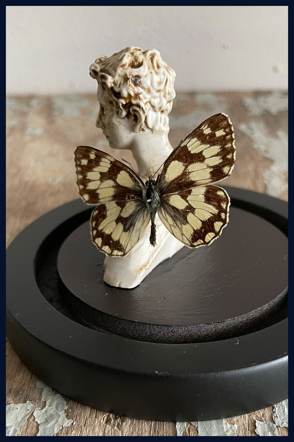 Enigma Variations Collection: Ancient Rome Miniature Classical Statue with a Vintage Butterfly in a Glass Display Dome