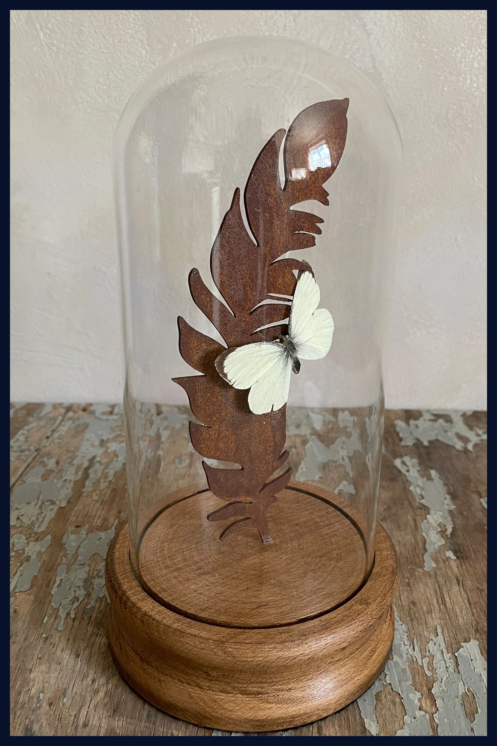 Enigma Variations Collection: Rusty Steel Feather with a Vintage Butterfly under a Glass Display Dome