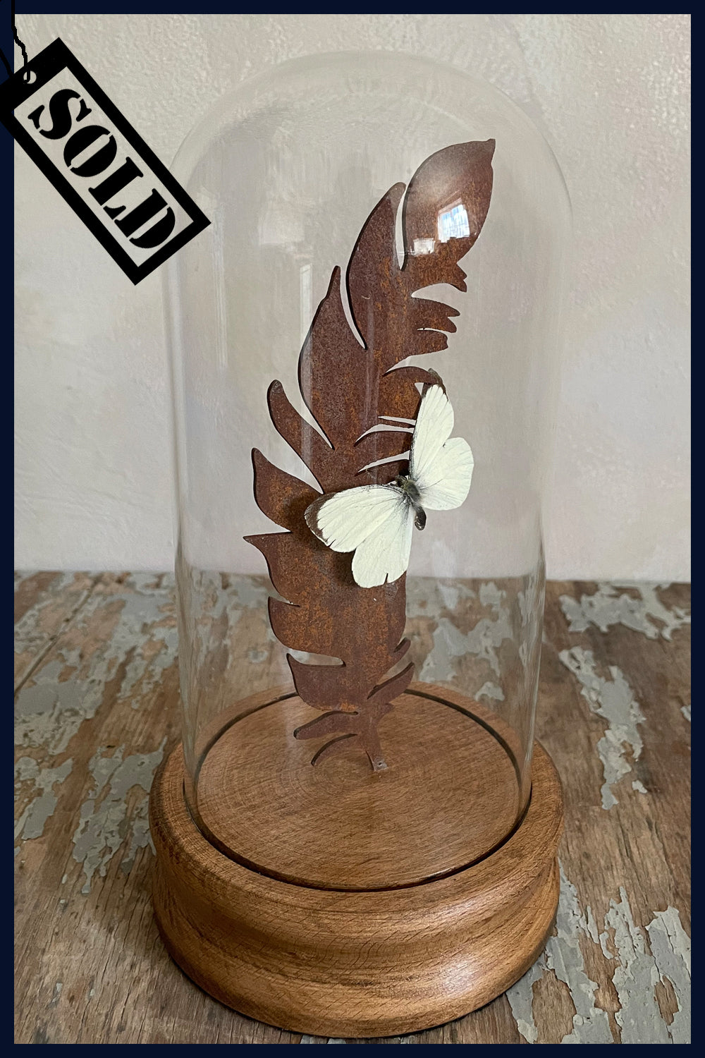 SOLD Enigma Variations Collection: Rusty Steel Feather with a Vintage Butterfly under a Glass Display Dome