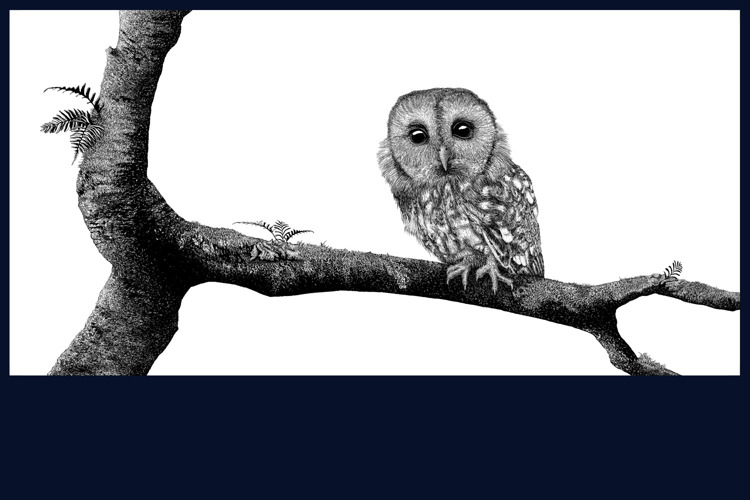 Floated & Framed Aviary Collection: The Bough. Limited Edition Fine Art Print