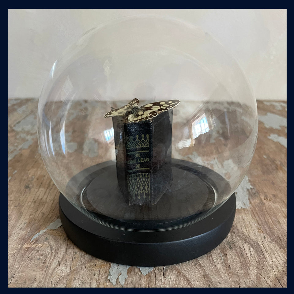 Enigma Variations Collection: Miniature 1920s/30s 'King Lear with a Vintage Butterfly in a Glass Display Dome