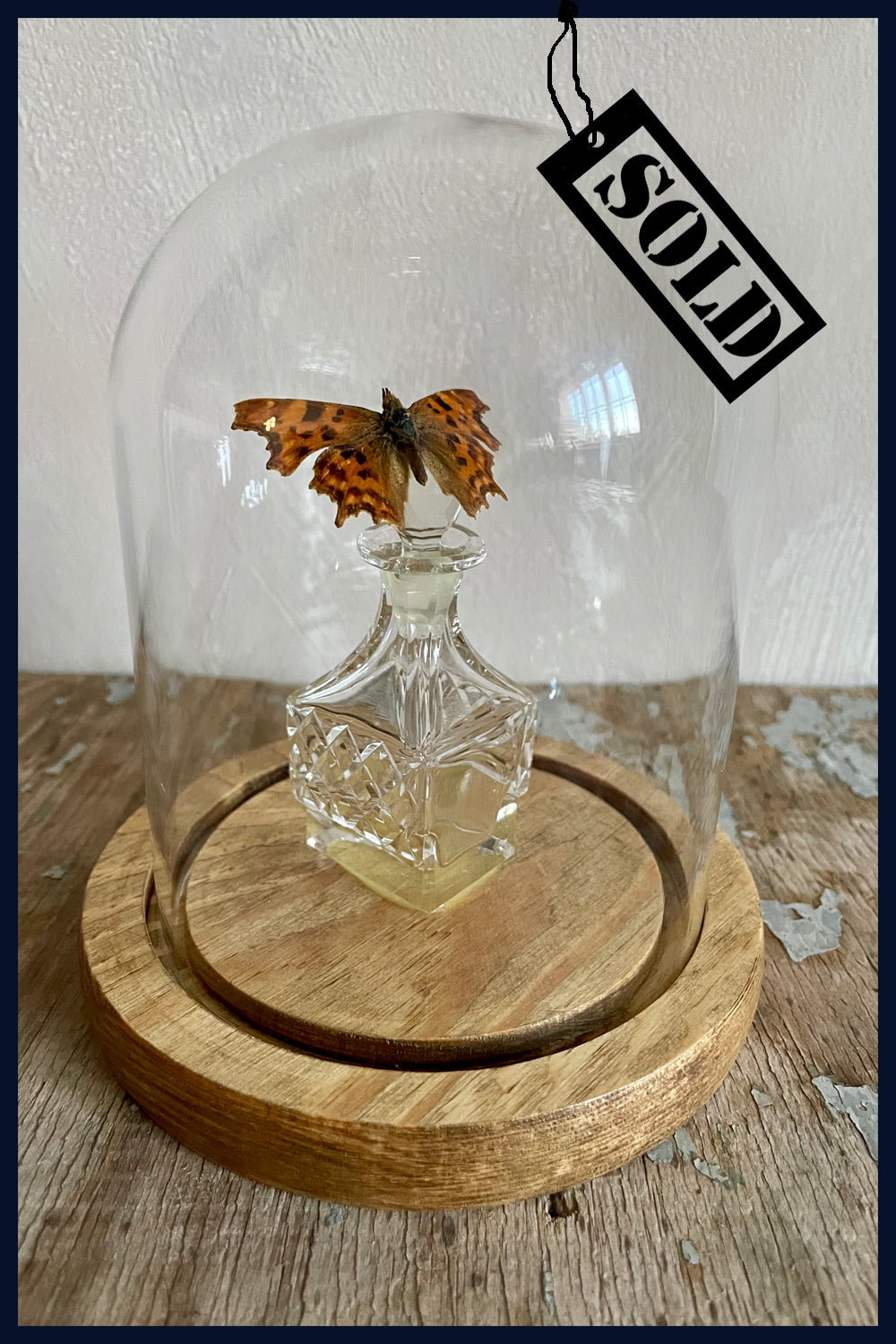 SOLD - Enigma Variations Collection: Vintage Cut-Crystal Bottle with a Vintage Butterfly in a Glass Display Dome