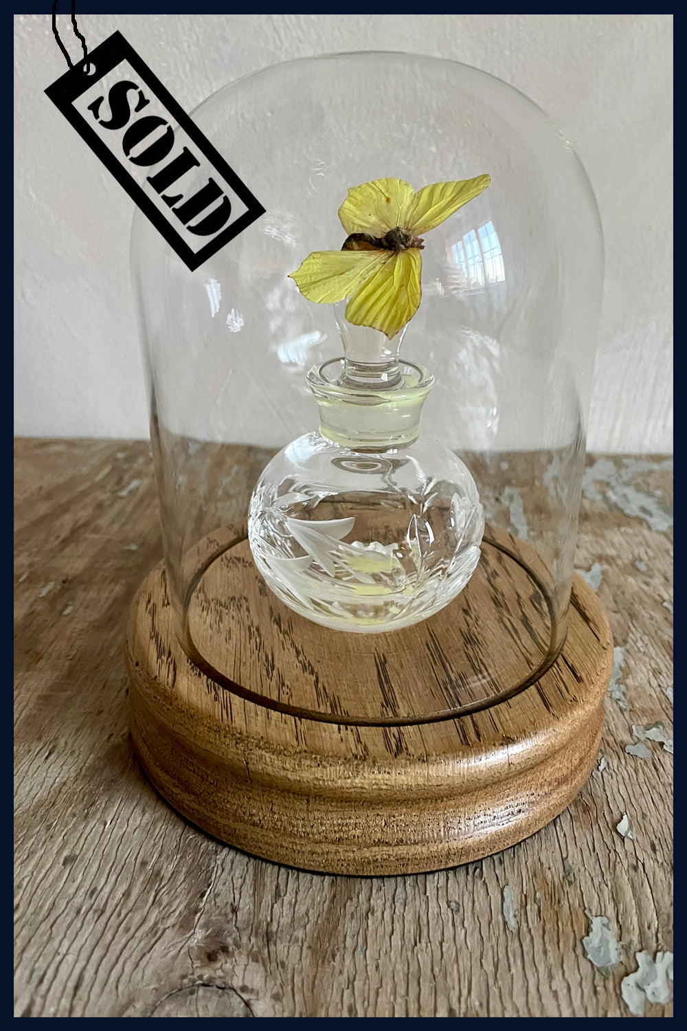 SOLD - Enigma Variations Collection: Vintage Cut-Crystal & Engraved Perfume Bottle with a Vintage Butterfly in a Glass Display Dome