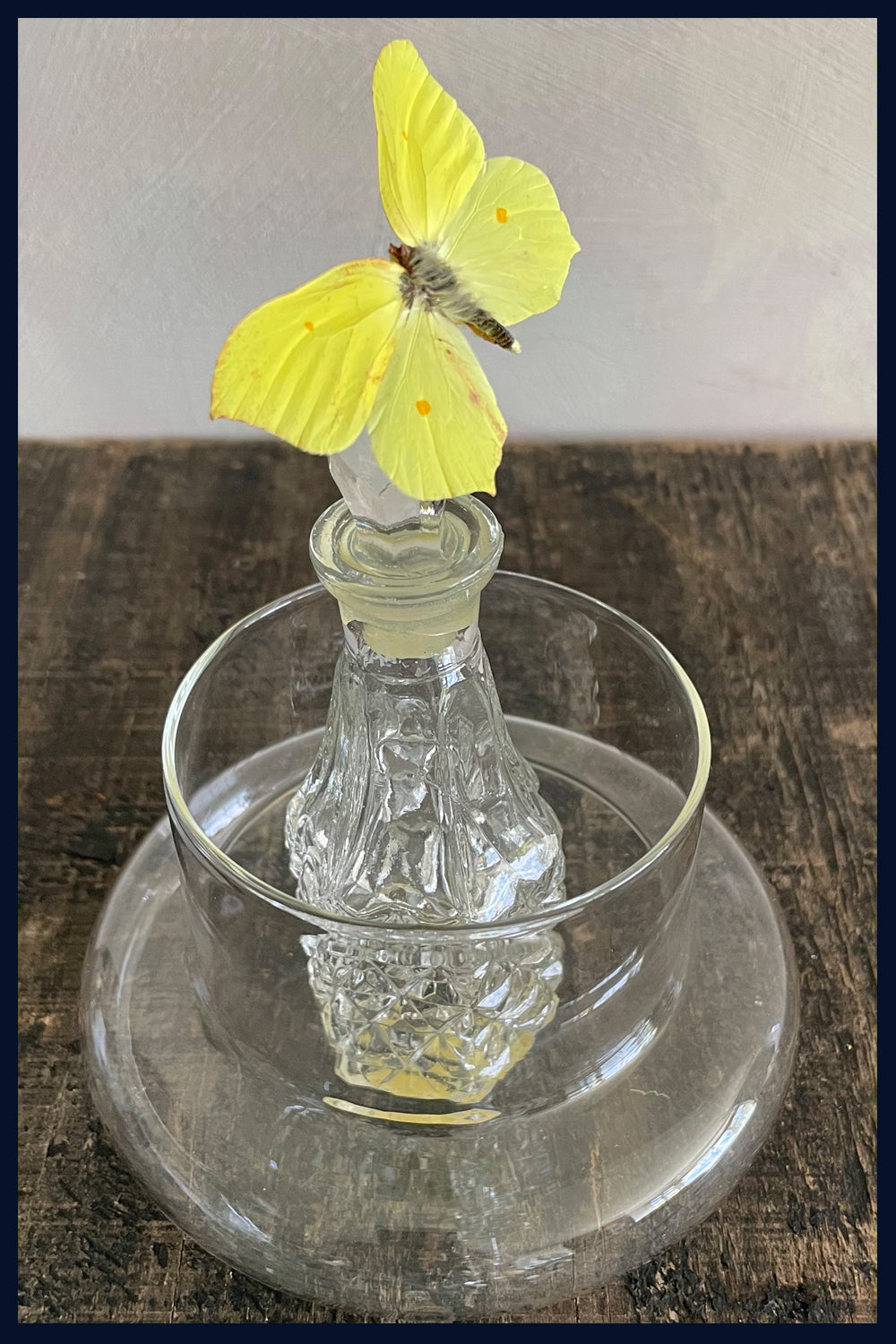 Enigma Variations Collection: Vintage Perfume Bottle with a Vintage Yellow Butterfly in a Glass Display Dome