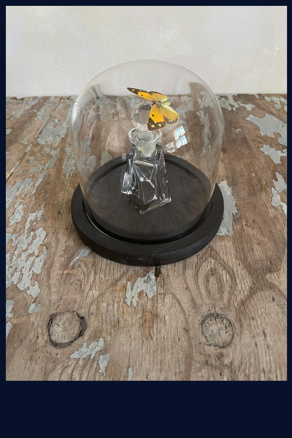Enigma Variations Collection: Vintage Crystal Perfume Bottle with a Vintage Butterfly in a Glass Display Dome