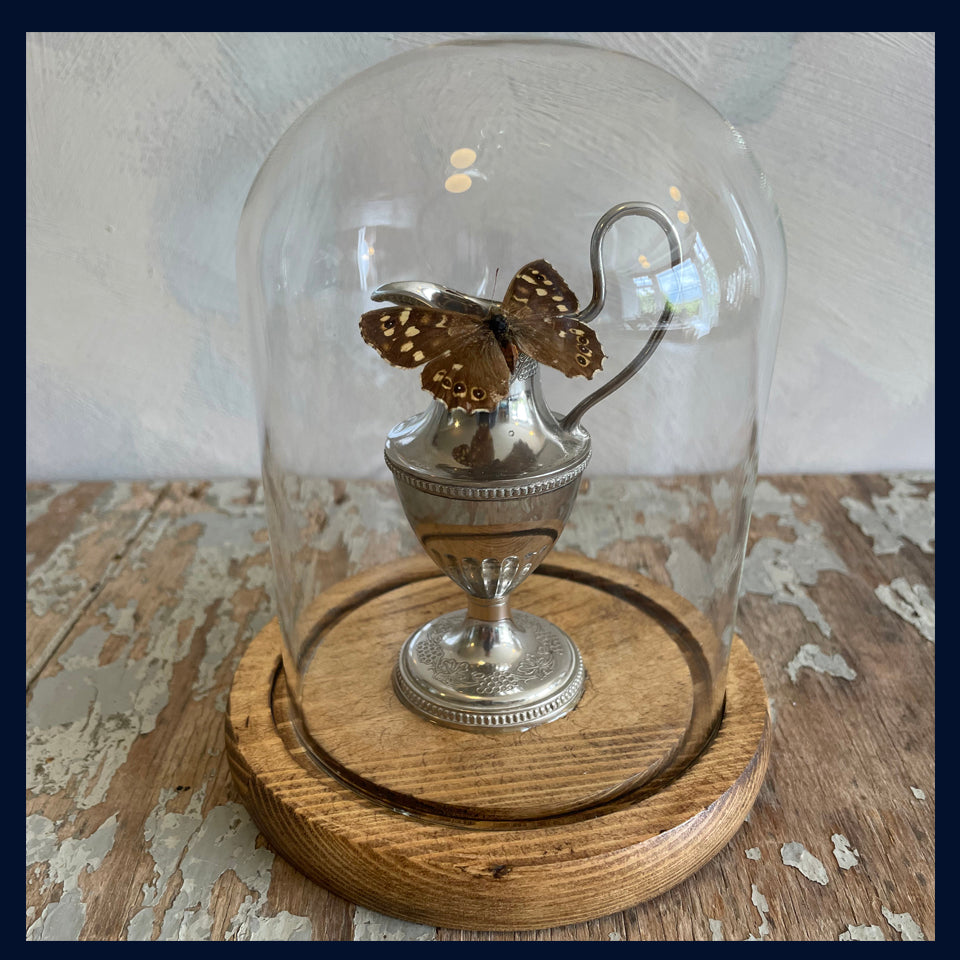 SOLD - Enigma Variations Collection: Miniature Vintage Silver-Plated Urn with a Vintage Butterfly under a Glass Display Dome