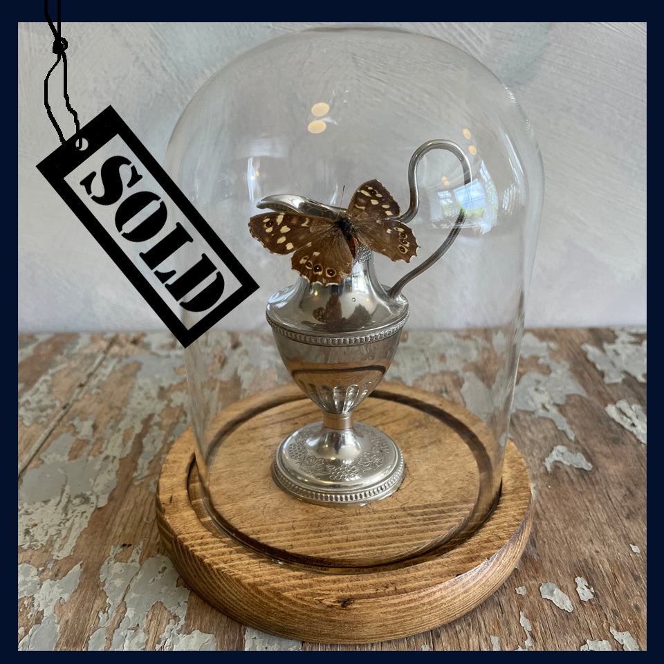 SOLD - Enigma Variations Collection: Miniature Vintage Silver-Plated Urn with a Vintage Butterfly under a Glass Display Dome