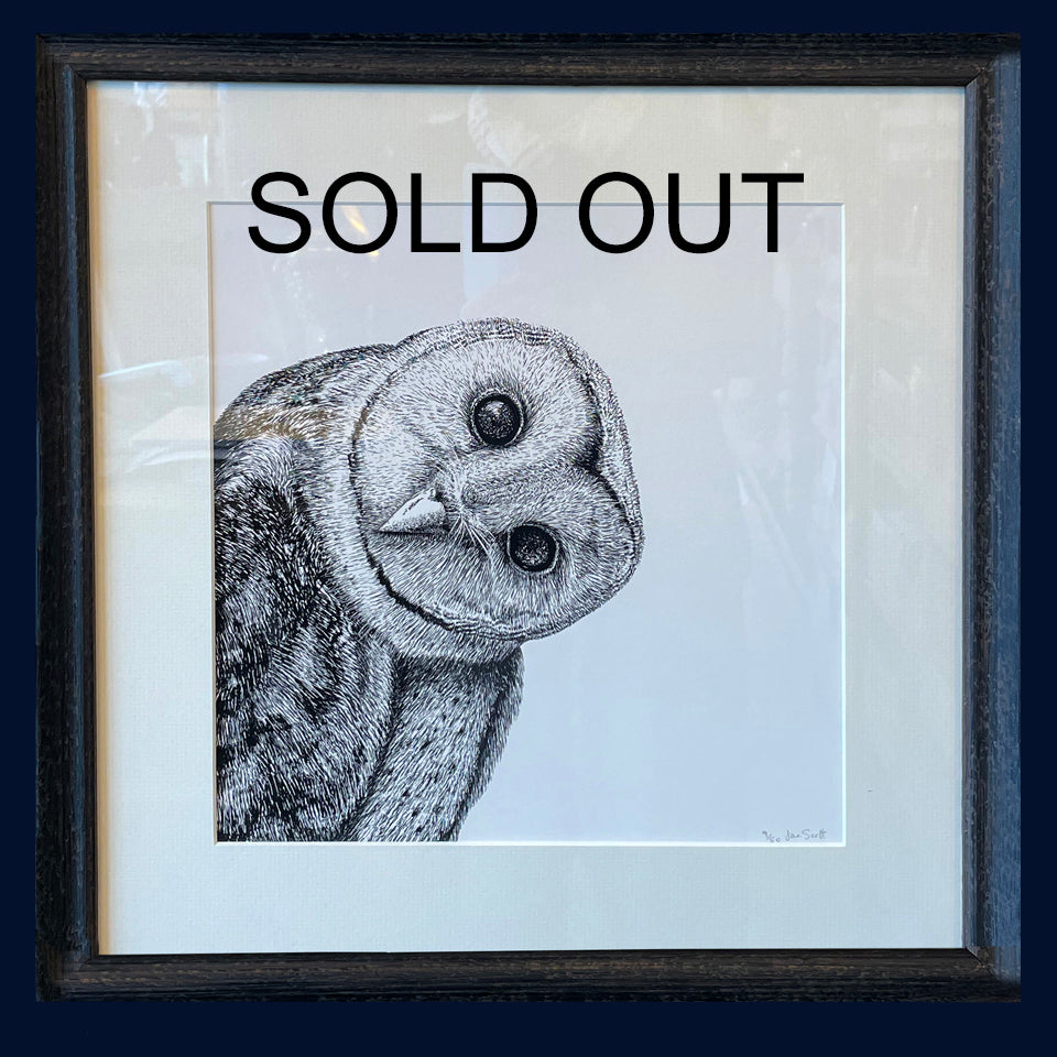 SOLD OUT A Hard Stare: Barn Owl. Limited Edition of 50 Fine Art Print