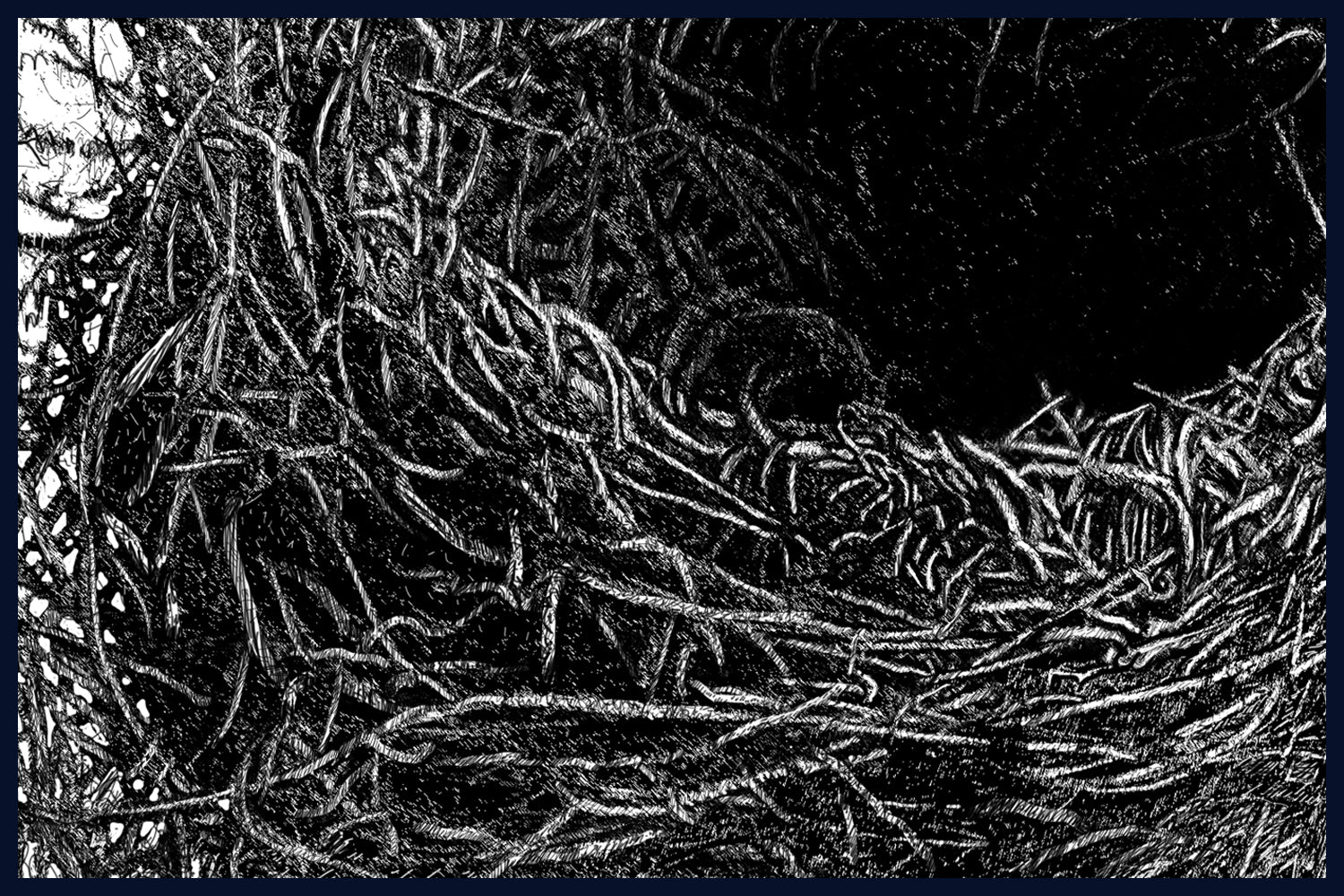 Home (Blackbird) Limited Edition of 50 Fine Art Print