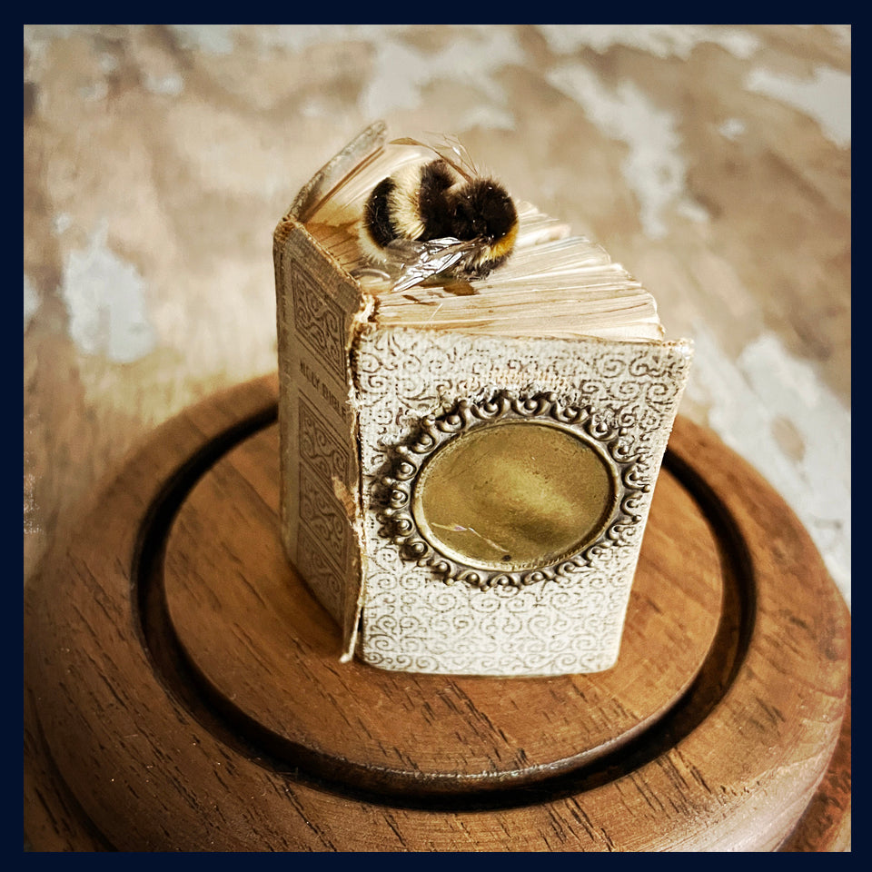 Enigma Variations Collection: Tiny Victorian Holy Bible with a Bee in a Glass Display Dome
