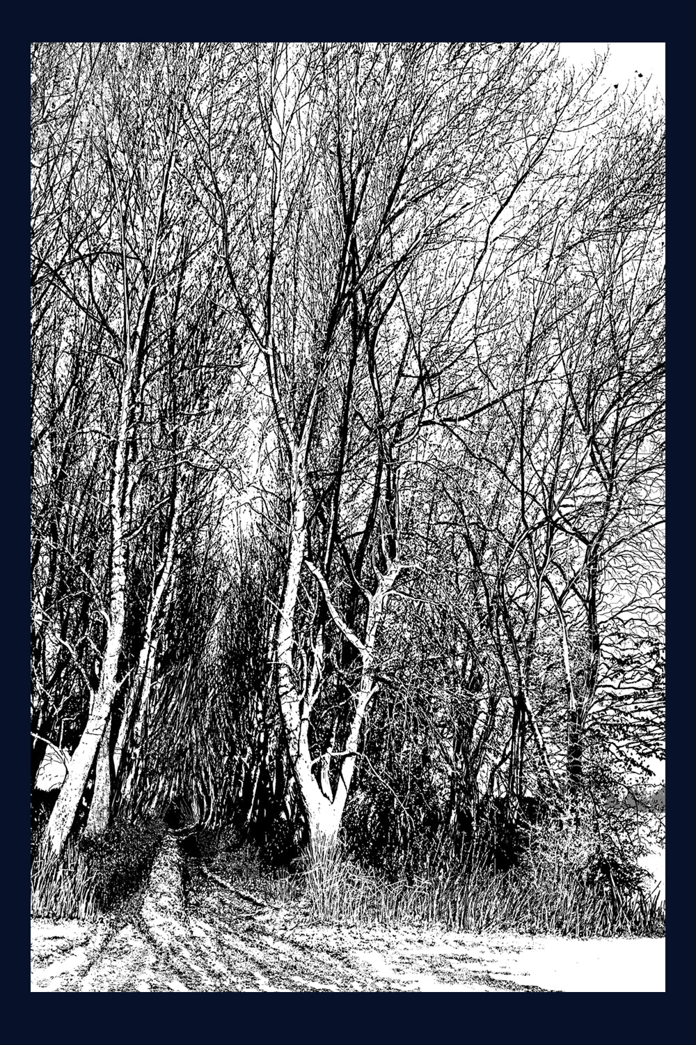 Create Cathedral, Norfolk.Framed fine art print by Jac Scott.