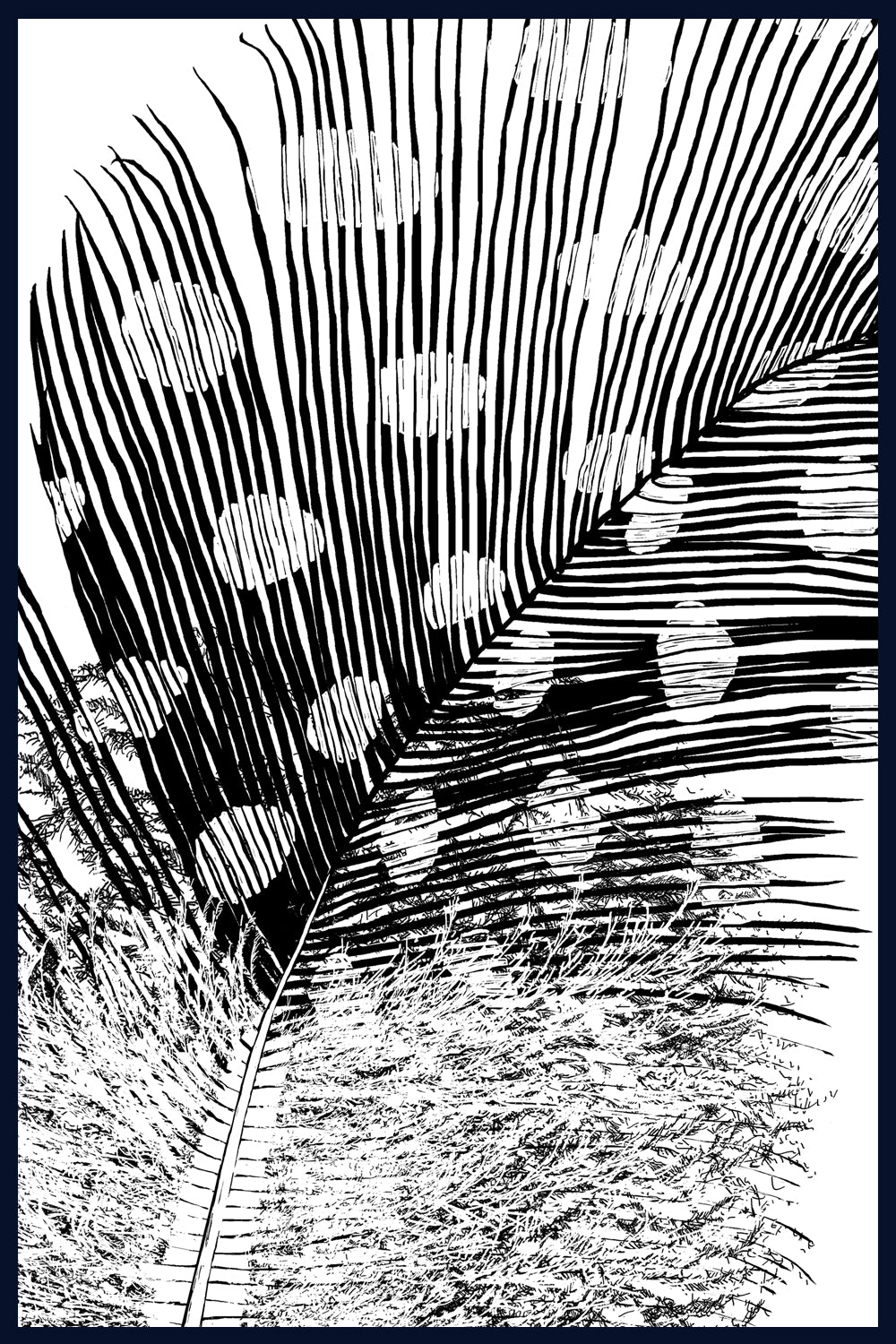 Lost Plume Feather, Norfolk. Pen and Ink artwork by Jac Scott
