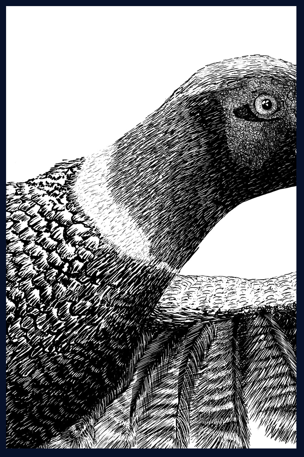 Framed Startled Limited Edition of 75 Fine Art Print