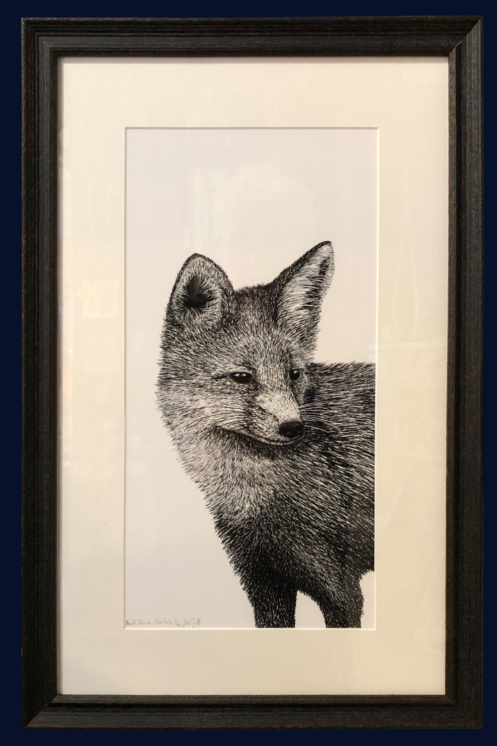 Fox Cub Norfolk limited edition framed fine art print by Jac Scott
