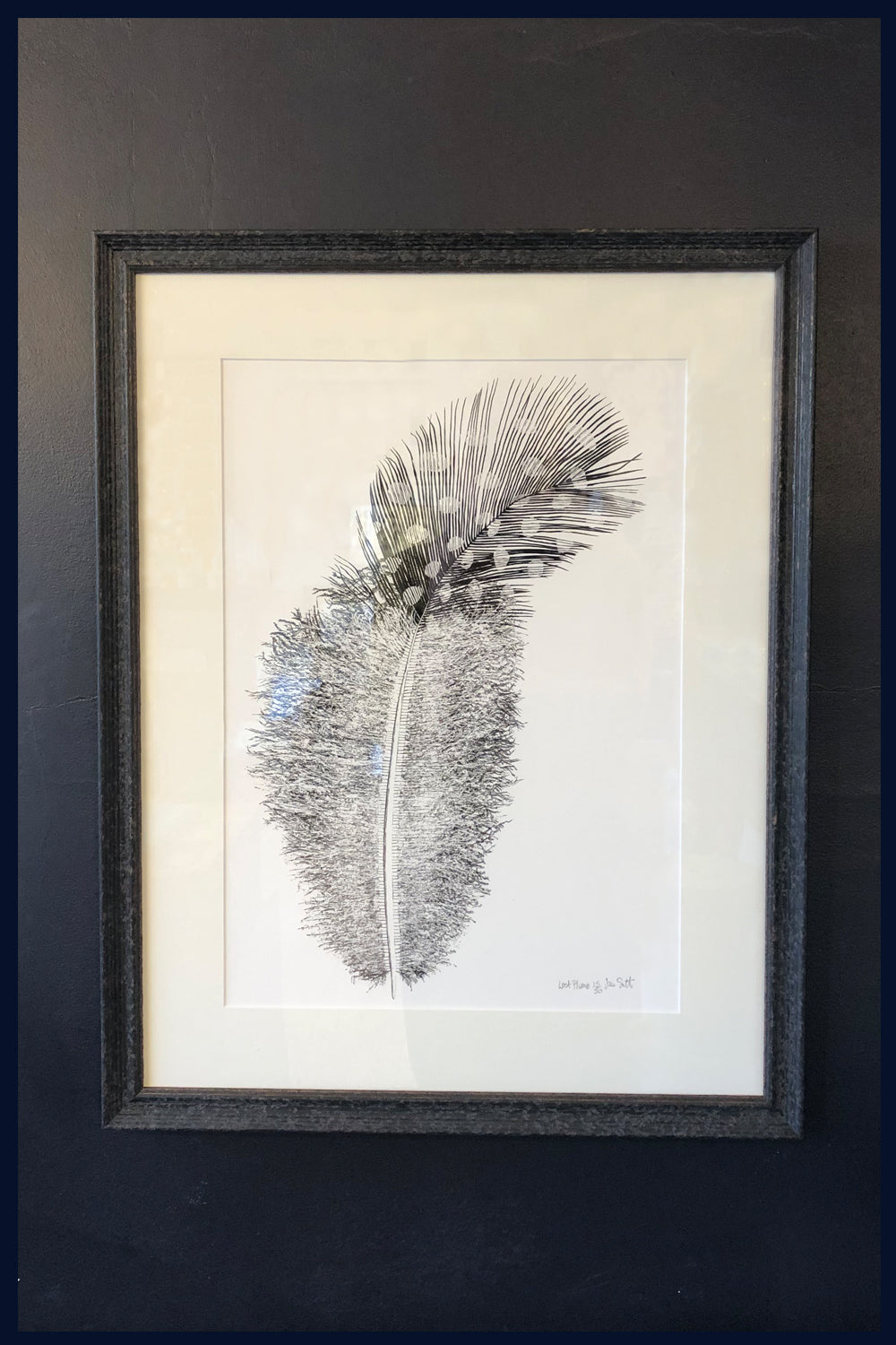Lost Plume, feather. Norfolk. Pen and Ink artwork by Jac Scott