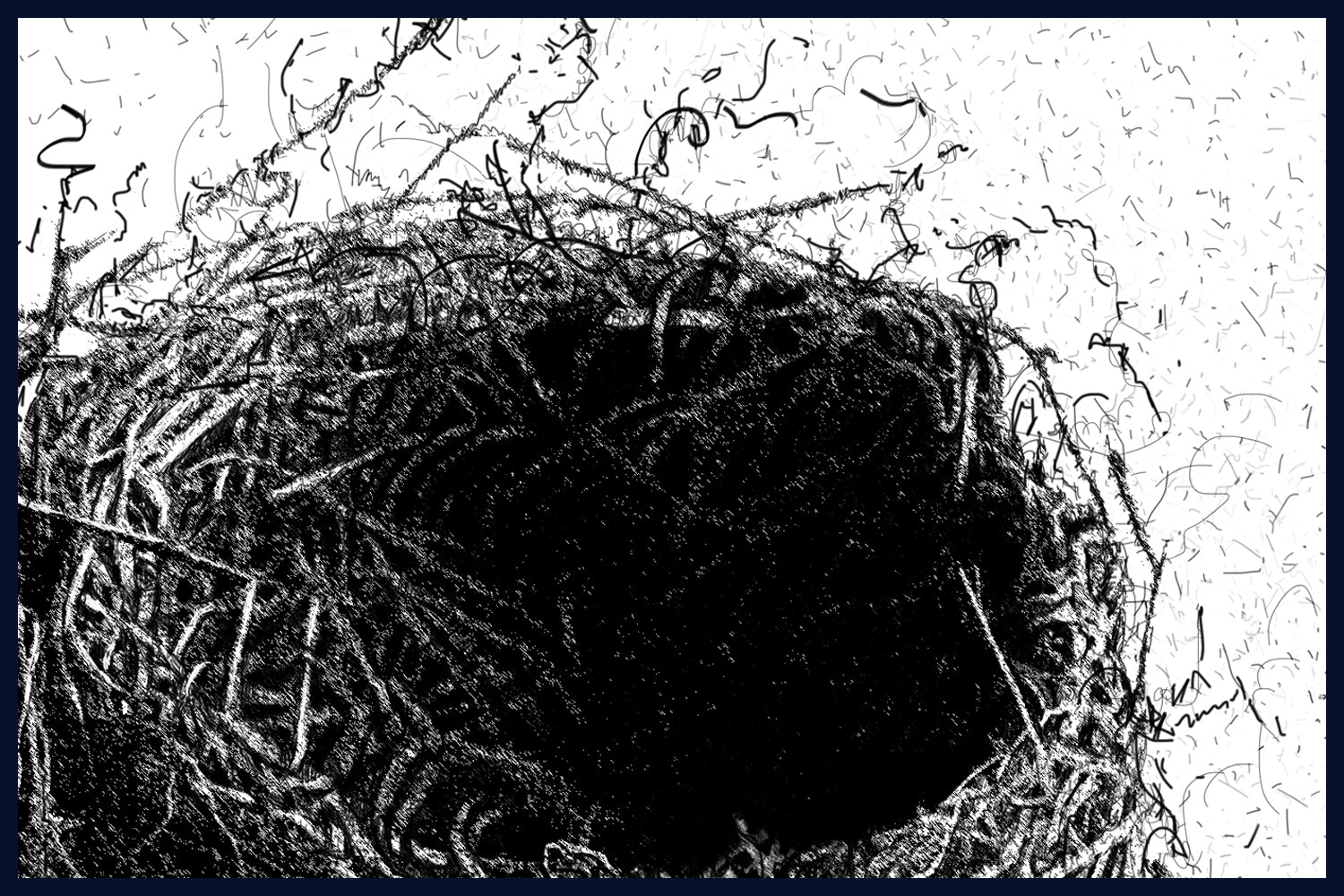 Blackbird Nest. Limited Edition of 50 Fine Art Print