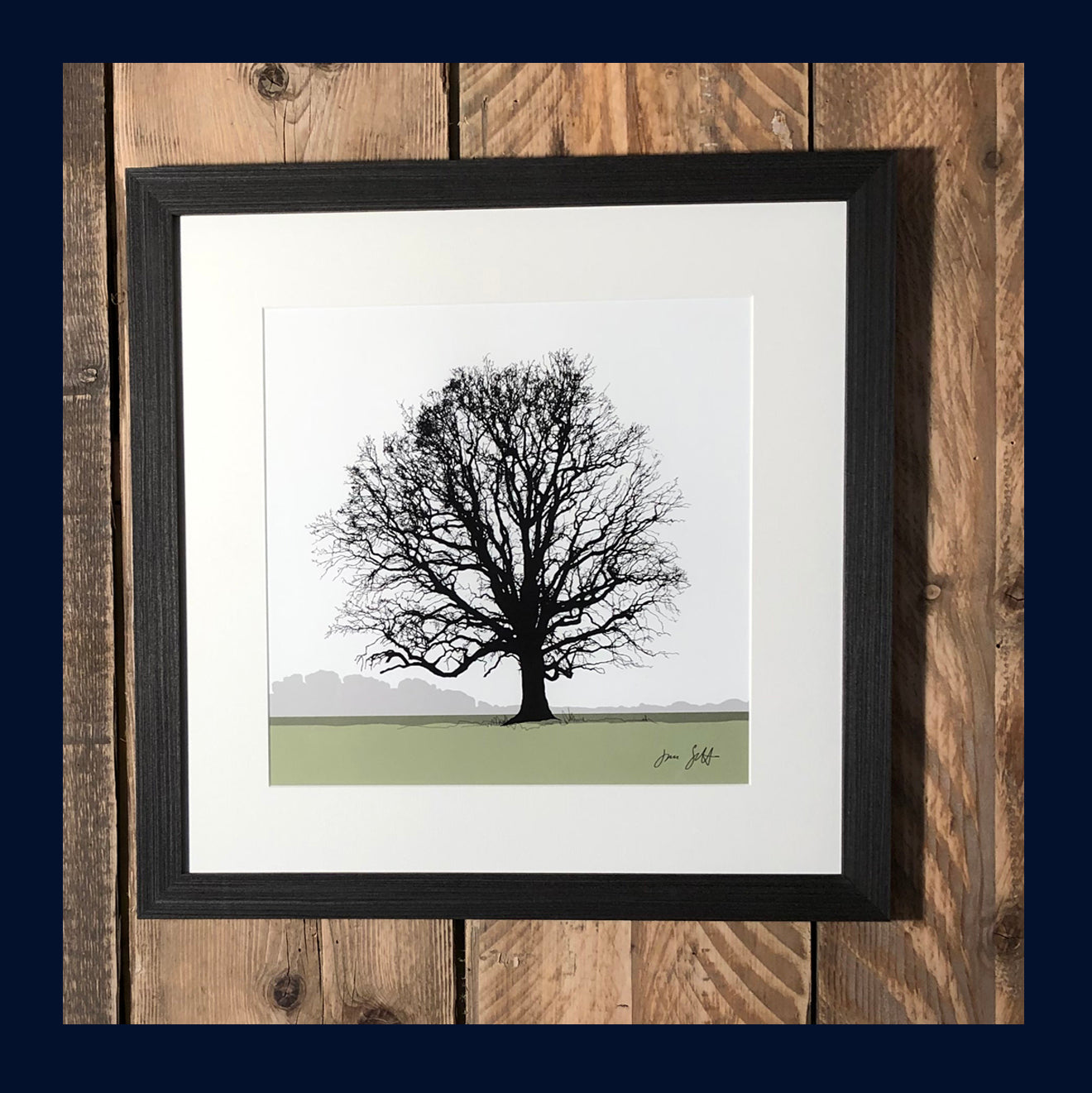 Oak tree, Blickling, Norfolk. Framed fine art print hy Jac Scott.