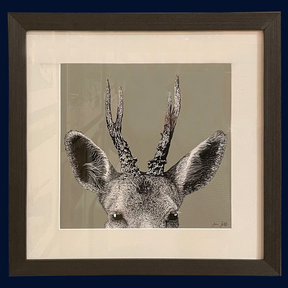 Roe Deer Norfolk limited edition framed fine art print by Jac Scott