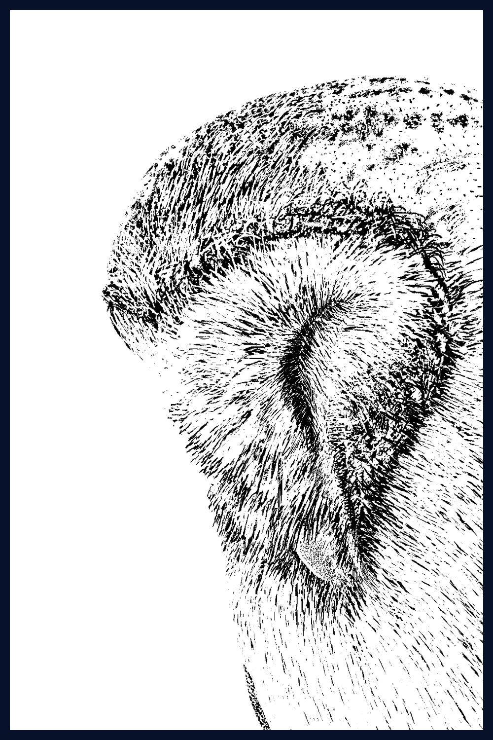 SOLD OUT - Roost Limited Edition of 50 Fine Art Print