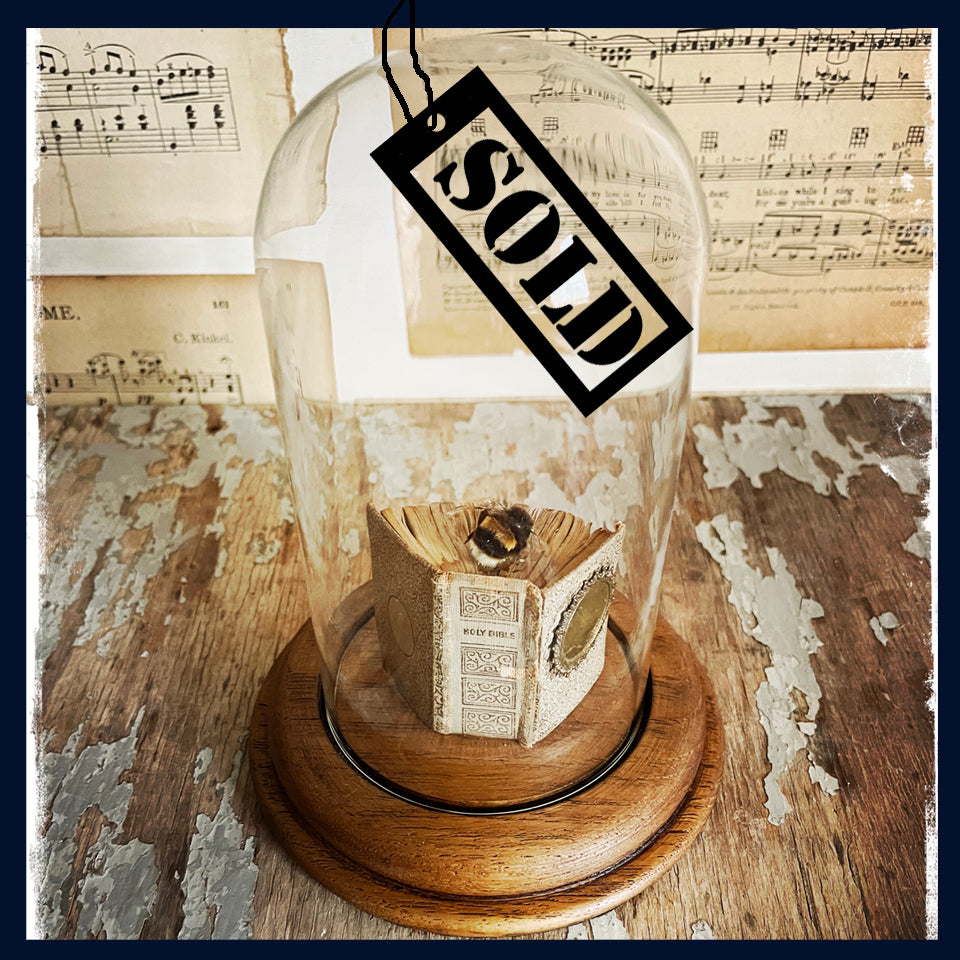 Enigma Variations Collection: Tiny Victorian Holy Bible with a Bee in a Glass Display Dome