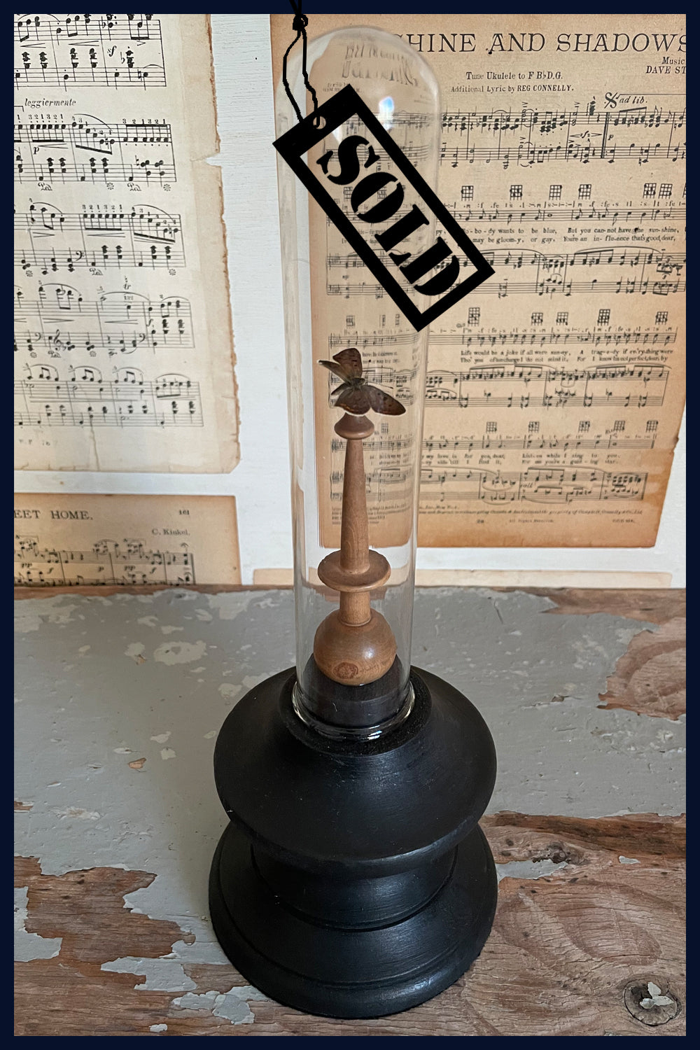 Enigma Variations Collection: Antique French Lace Bobbin with Butterfly in a Display Dome